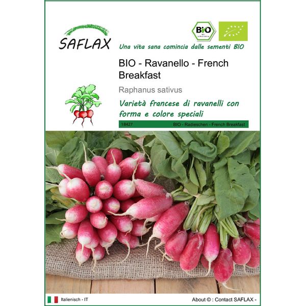 Saflax -- Ravanello - French Breakfast - 150 Semi - Raphanus-image