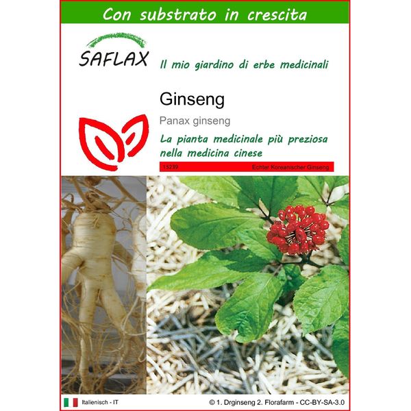 Saflax - Ginseng - 10 Semi - Con Substrato - Panax-image