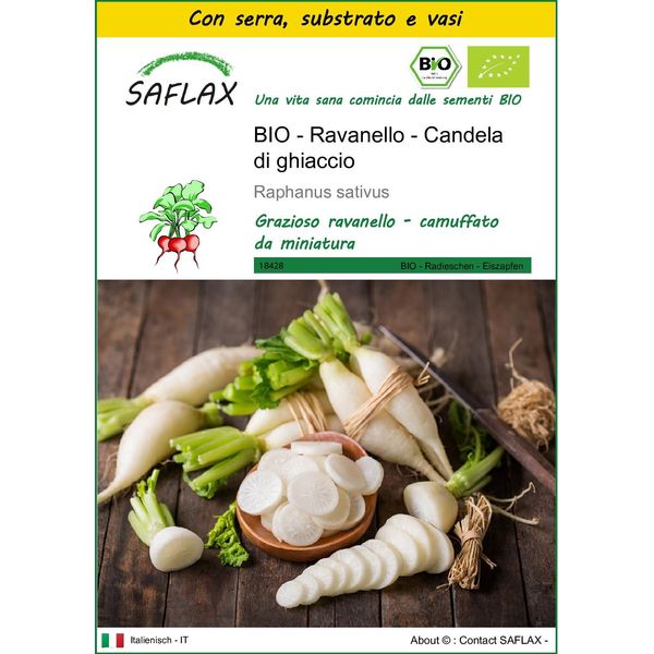 Saflax Insieme Di Coltivazione -- Ravanello - Candela Di Ghiaccio - 100 Semi - Raphanus-image
