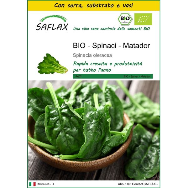 Saflax Insieme Di Coltivazione -- Spinaci - Matador - 300 Semi - Spinacia-image