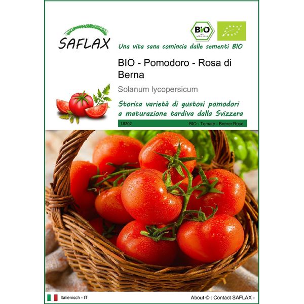 Saflax -- Pomodoro - Rosa Di Berna - 10 Semi - Solanum-image