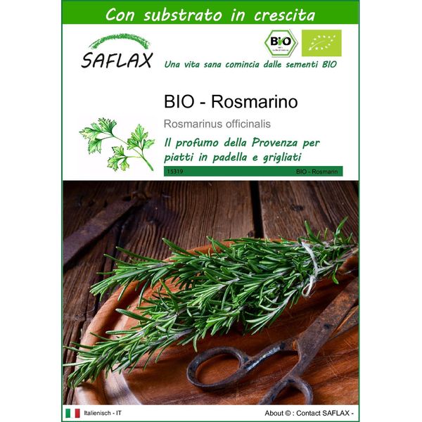 Saflax -- Rosmarino - 40 Semi - Con Substrato - Rosmarinus-image