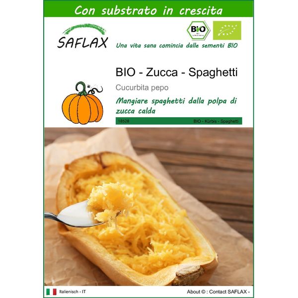 Saflax -- Zucca - Spaghetti - 5 Semi - Con Substrato - Cucurbita-image