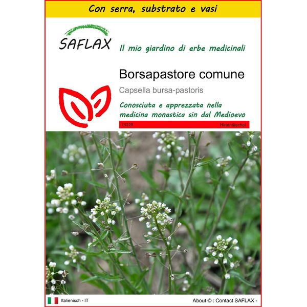 Saflax Insieme Di Coltivazione - Borsapastore Comune - 1000 Semi - Capsella-image