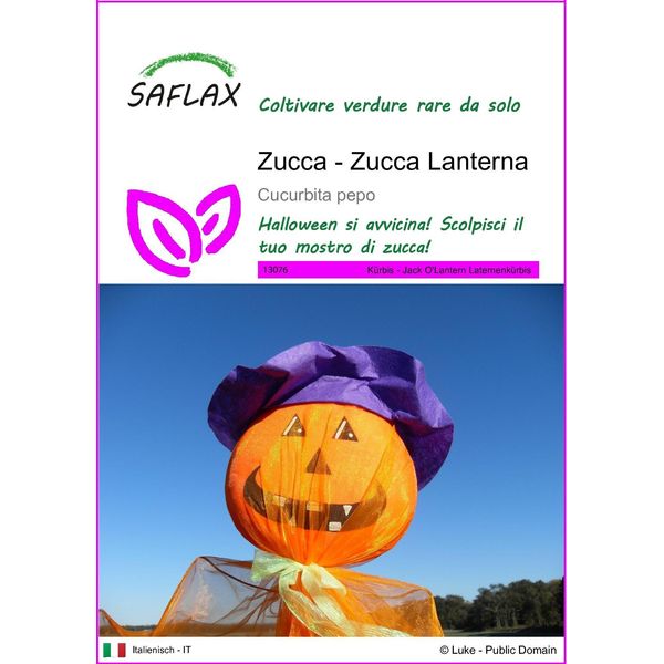 Saflax - Zucca - Zucca Lanterna - 10 Semi - Cucurbita-image