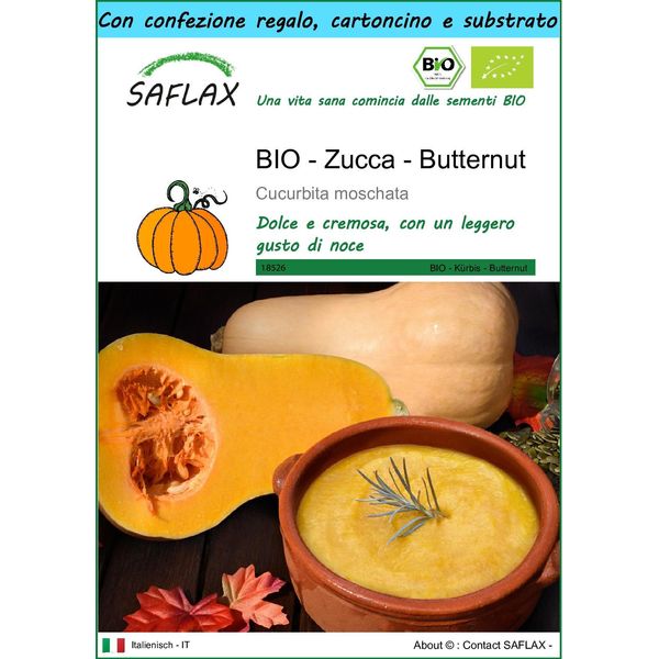 Saflax Set Regalo -- Zucca - Butternut - 6 Semi - Cucurbita-image