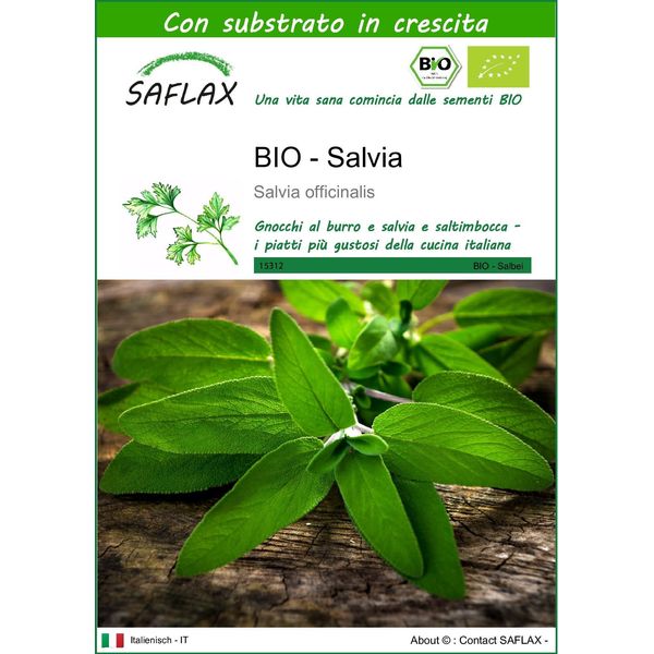 Saflax -- Salvia - 60 Semi - Con Substrato - Salvia-image