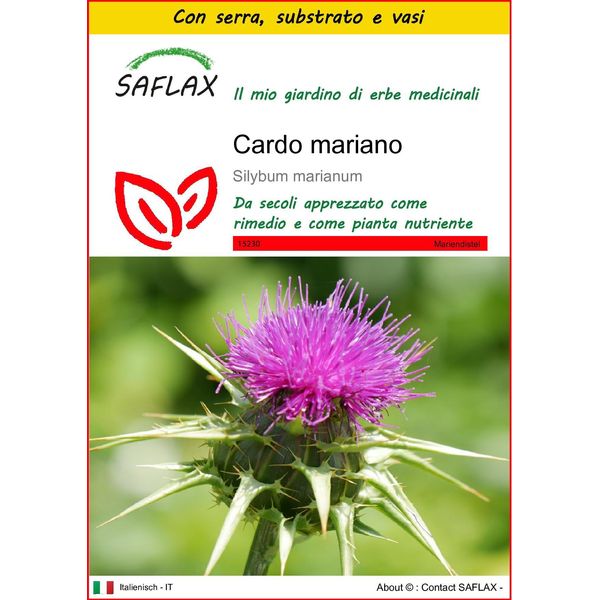 Saflax Insieme Di Coltivazione - Cardo Mariano - 75 Semi - Silybum-image