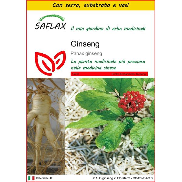 Saflax Insieme Di Coltivazione - Ginseng - 10 Semi - Panax-image