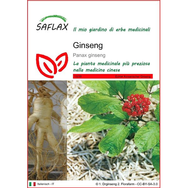Saflax - Ginseng - 10 Semi - Panax-image