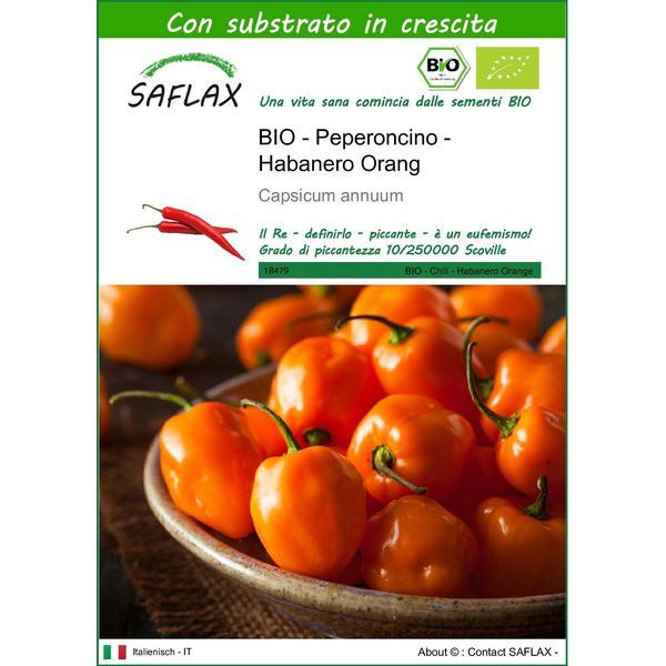 Saflax -- Peperoncino - Habanero Orang - 20 Semi - Con Substrato - Capsicum-image