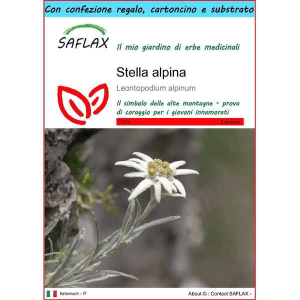 Saflax Set Regalo - Stella Alpina - 500 Semi - Leontopodium-image