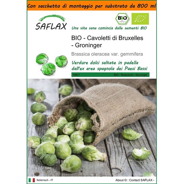 Saflax Garden In The Bag -- Cavoletti Di Bruxelles - Groninger - 30 Semi - Brassica-image