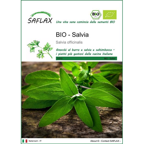 Saflax -- Salvia - 60 Semi - Salvia-image
