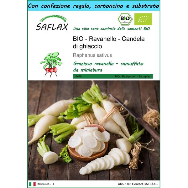 Saflax Set Regalo -- Ravanello - Candela Di Ghiaccio - 100 Semi - Raphanus-image