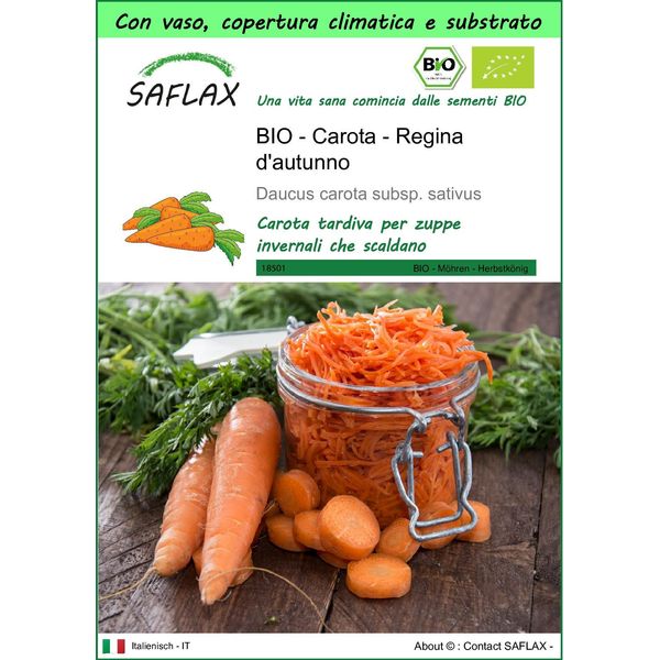 Saflax Garden To Go - Bio - Carota - Regina D'autunno - 1000 Semi - Daucus-image