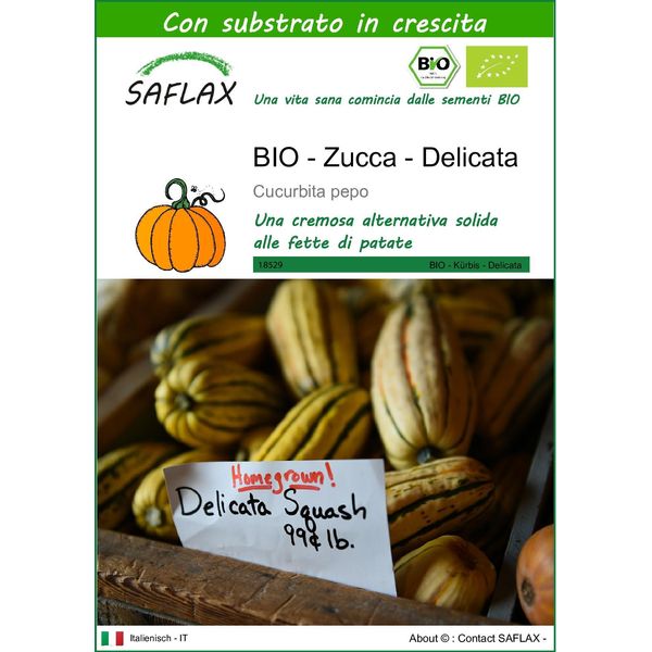 Saflax -- Zucca - Delicata - 6 Semi - Con Substrato - Cucurbita-image