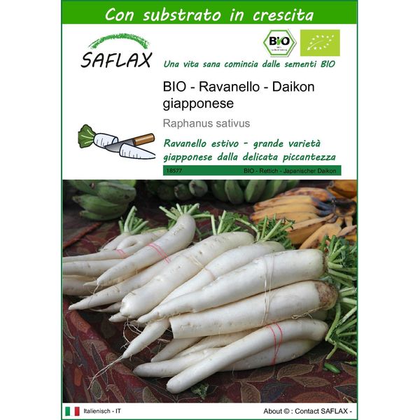 Saflax -- Ravanello - Daikon Giapponese - 100 Semi - Con Substrato - Raphanus-image
