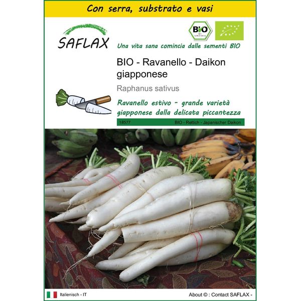 Saflax Insieme Di Coltivazione -- Ravanello - Daikon Giapponese - 100 Semi - Raphanus-image