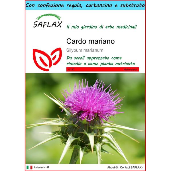 Saflax Set Regalo - Cardo Mariano - 75 Semi - Silybum-image