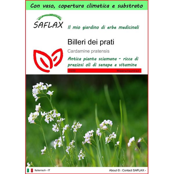 Saflax Garden To Go - Billeri Dei Prati - 100 Semi - Cardamine-image