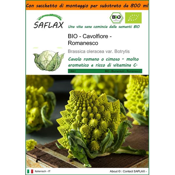 Saflax Garden In The Bag -- Cavolfiore - Romanesco - 50 Semi - Brassica-image