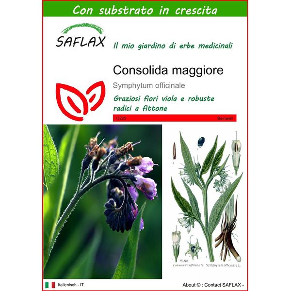 Saflax - Consolida Maggiore - 15 Semi - Con Substrato - Symphytum-image