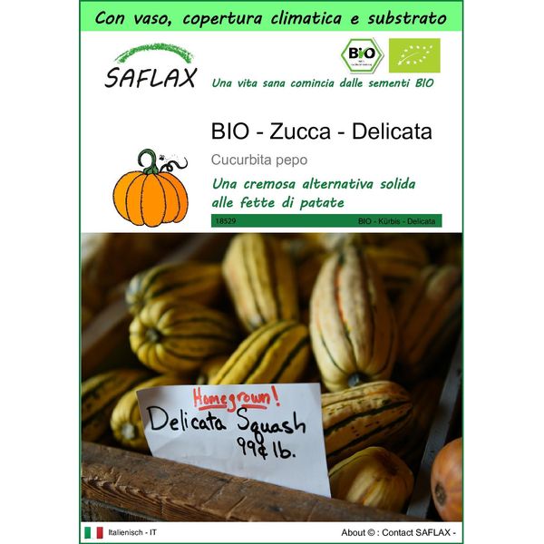 Saflax Garden To Go - Bio - Zucca - Delicata - 6 Semi - Cucurbita-image