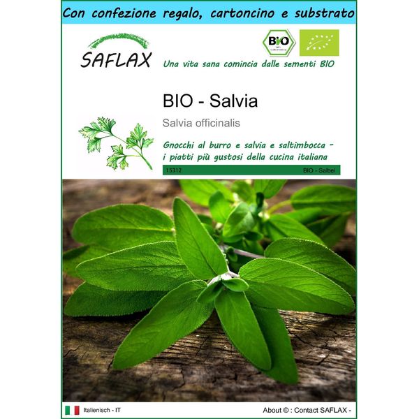 Saflax Set Regalo -- Salvia - 60 Semi - Salvia-image