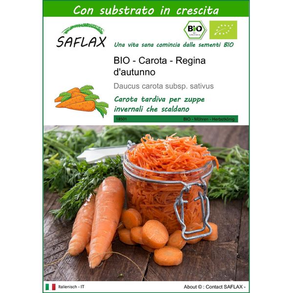Saflax -- Carota - Regina D'autunno - 1000 Semi - Con Substrato - Daucus-image