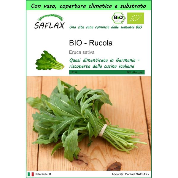 Saflax Garden To Go - Bio - Rucola - 3000 Semi - Eruca-image