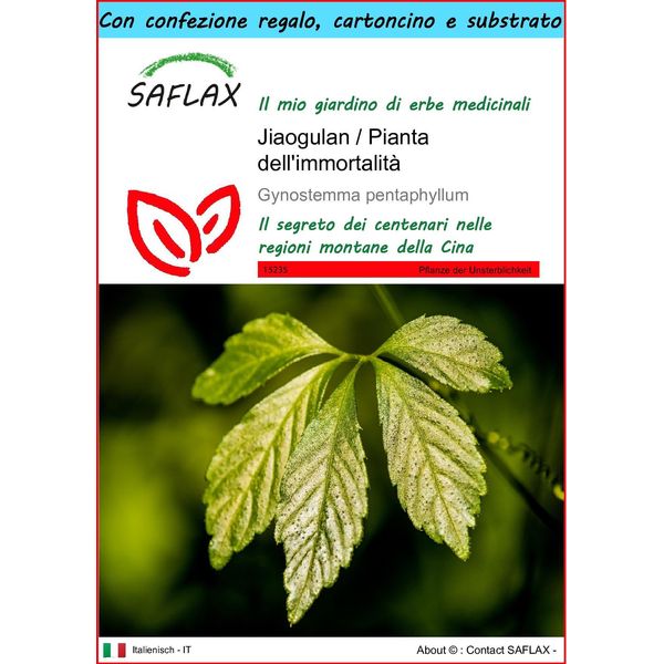 Saflax Set Regalo - Jiaogulan / Pianta Dell'immortalità - 30 Semi - Gynostemma-image