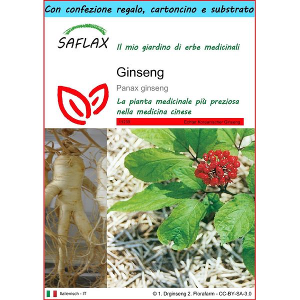 Saflax Set Regalo - Ginseng - 10 Semi - Panax-image