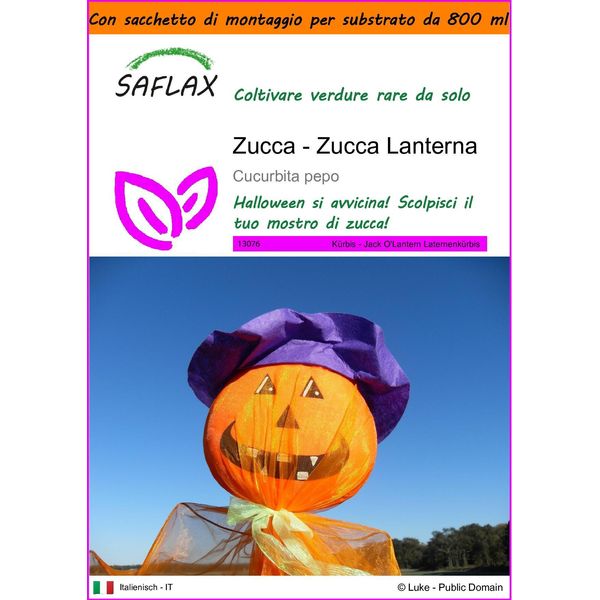 Saflax Garden In The Bag - Zucca - Zucca Lanterna - 10 Semi - Cucurbita-image