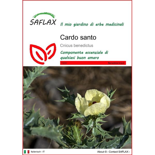 Saflax - Cardo Santo - 50 Semi - Cnicus-image