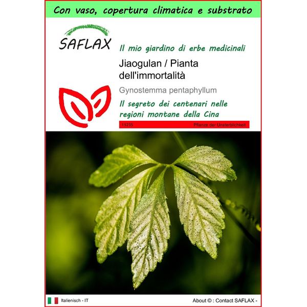 Saflax Garden To Go - Jiaogulan / Pianta Dell'immortalità - 30 Semi - Gynostemma-image