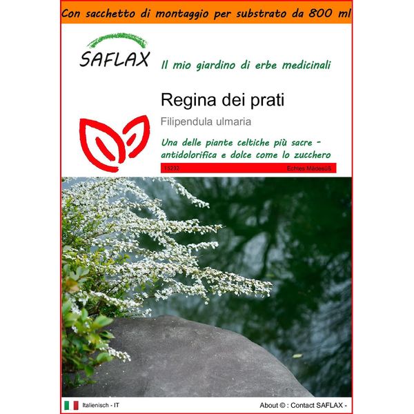 Saflax Garden In The Bag - Regina Dei Prati - 500 Semi - Filipendula-image
