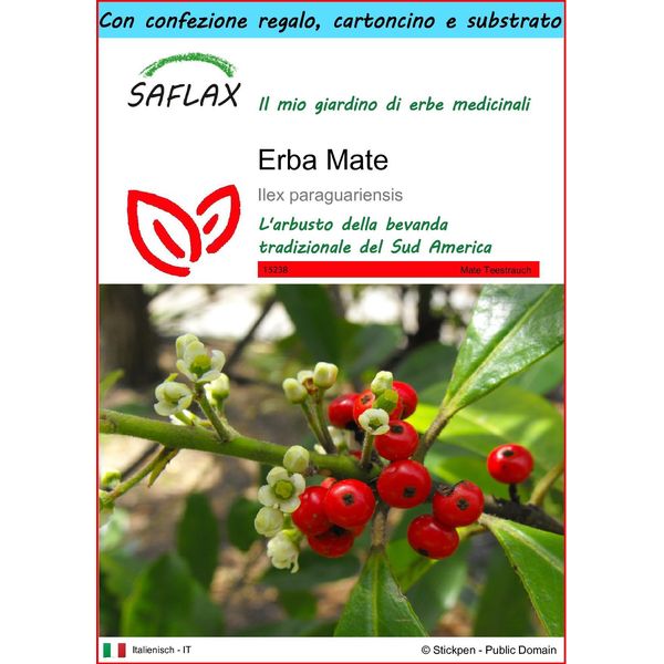 Saflax Set Regalo - Erba Mate - 10 Semi - Ilex-image