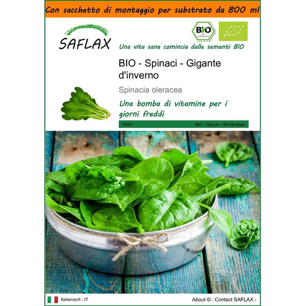 Saflax Garden In The Bag -- Spinaci - Gigante D'inverno - 250 Semi - Spinacia-image