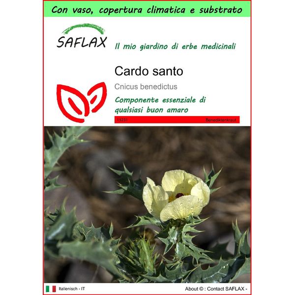 Saflax Garden To Go - Cardo Santo - 50 Semi - Cnicus-image