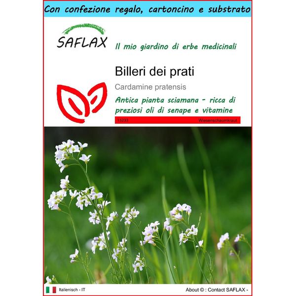 Saflax Set Regalo - Billeri Dei Prati - 100 Semi - Cardamine-image