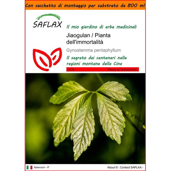 Saflax Garden In The Bag - Jiaogulan / Pianta Dell'immortalità - 30 Semi - Gynostemma-image