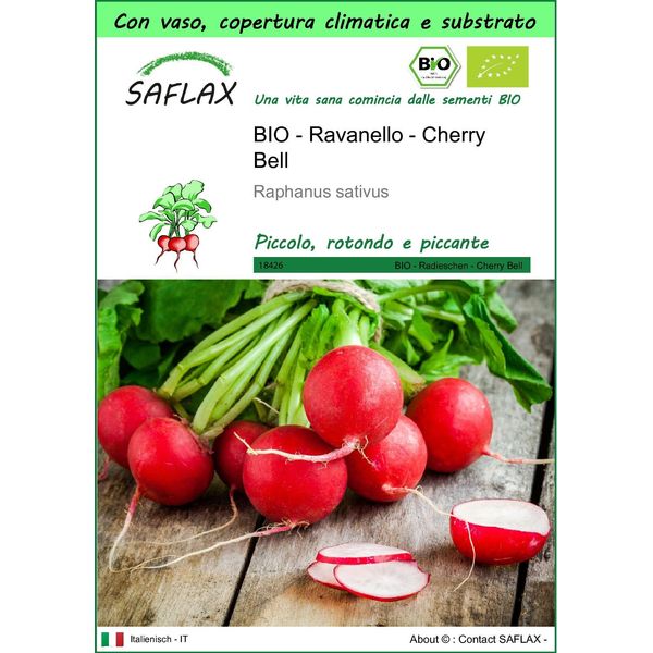 Saflax Garden To Go - Bio - Ravanello - Cherry Bell - 100 Semi - Raphanus-image