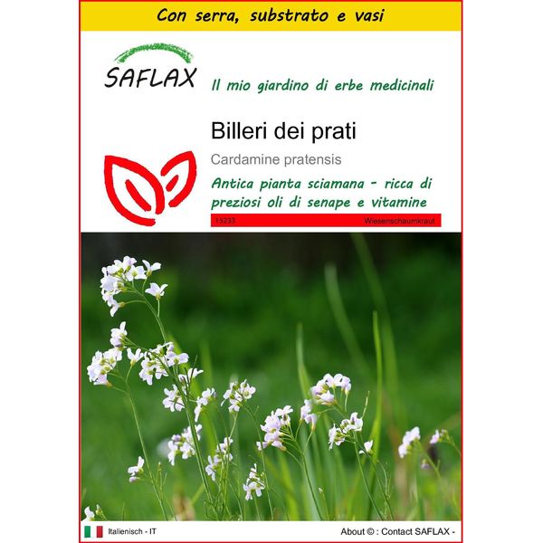 Saflax Insieme Di Coltivazione - Billeri Dei Prati - 100 Semi - Cardamine-image