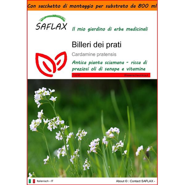 Saflax Garden In The Bag - Billeri Dei Prati - 100 Semi - Cardamine-image