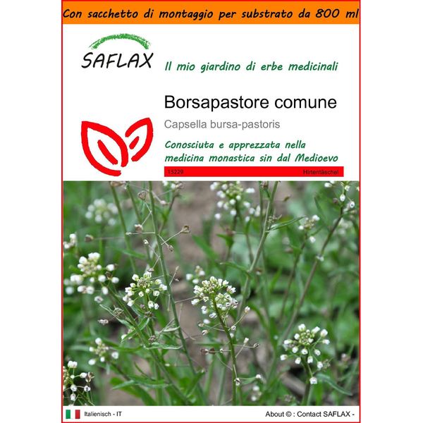 Saflax Garden In The Bag - Borsapastore Comune - 1000 Semi - Capsella-image