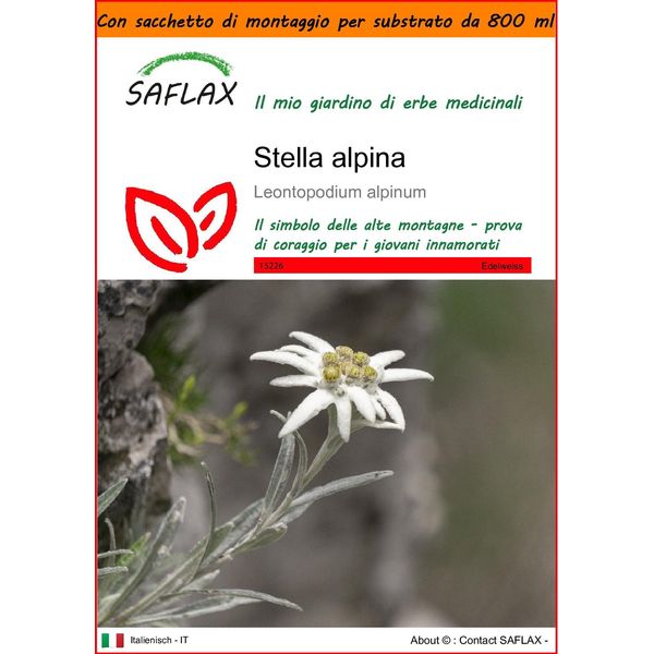 Saflax Garden In The Bag - Stella Alpina - 500 Semi - Leontopodium-image