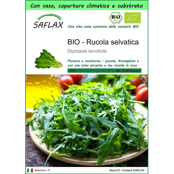Saflax Garden To Go - Bio - Rucola Selvatica - 1500 Semi - Diplotaxis-image