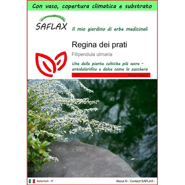 Saflax Garden To Go - Regina Dei Prati - 500 Semi - Filipendula-image