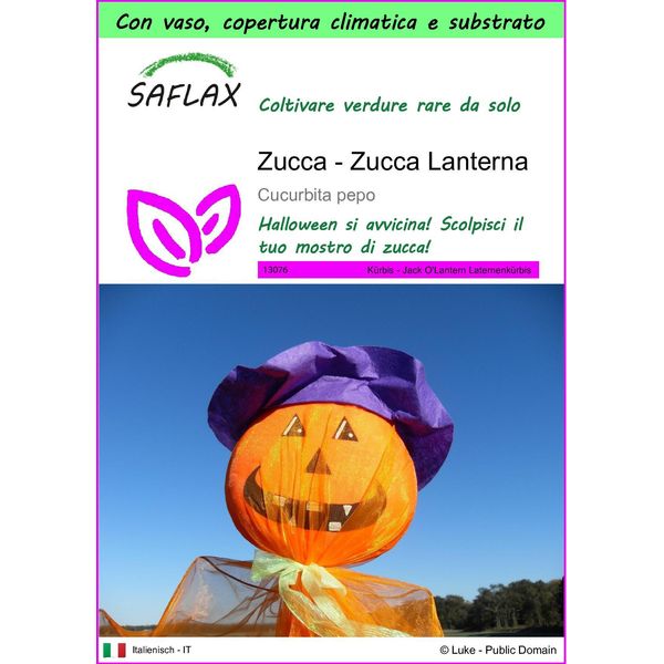 Saflax Garden To Go - Zucca - Zucca Lanterna - 10 Semi - Cucurbita-image